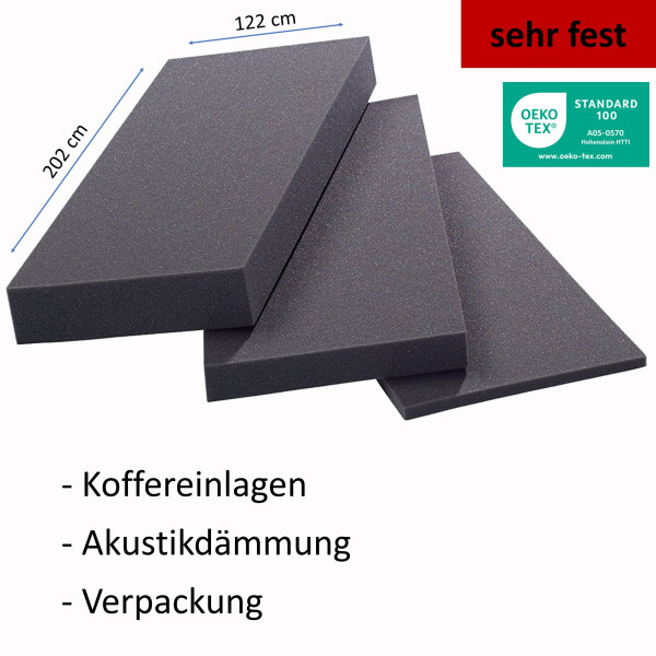 Schaumstoff Platte FSA 2560 202x122cm 1-10cm / sehr fest